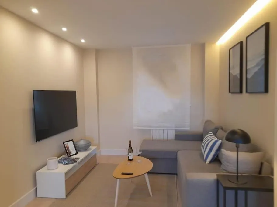 Calida Estancia Descubre La Ciudad Bilbao Lejlighed